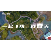 嗨呀小主持｜《一起飞翔，找春天》中段