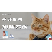 嗨呀小主持·口头说书训练营｜《长头发的猫咪男孩》中段