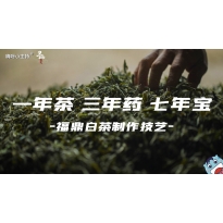 嗨呀小主持｜《寻路非遗》—一年茶，三年茶，七年宝｜中段