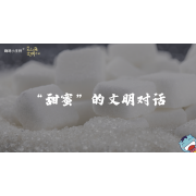 嗨呀小主持｜《跨越山海，文明对话》—甜蜜的文明对话｜高段