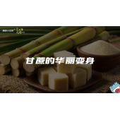 嗨呀小主持｜《跨越山海，文明对话》—甘蔗的华丽变身｜中段