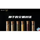 嗨呀小主持｜《跨越山海，文明对话》—种子的文明对话｜中段