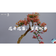 《美在说话番外篇》—信花篇｜高段