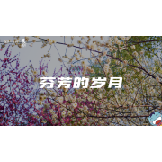 《美在说话番外篇》—信花篇｜中段