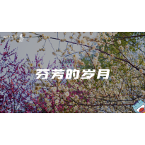 《美在说话番外篇》—信花篇｜中段