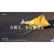 《秋日胜春朝》—在秋天，更好地出发｜高段