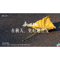 《秋日胜春朝》—在秋天，更好地出发｜高段