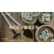 《万物皆可爱》—可爱的植物设计师｜中段