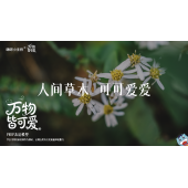 《万物皆可爱》—人间草木  可可爱爱｜高段