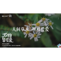 《万物皆可爱》—人间草木  可可爱爱｜高段