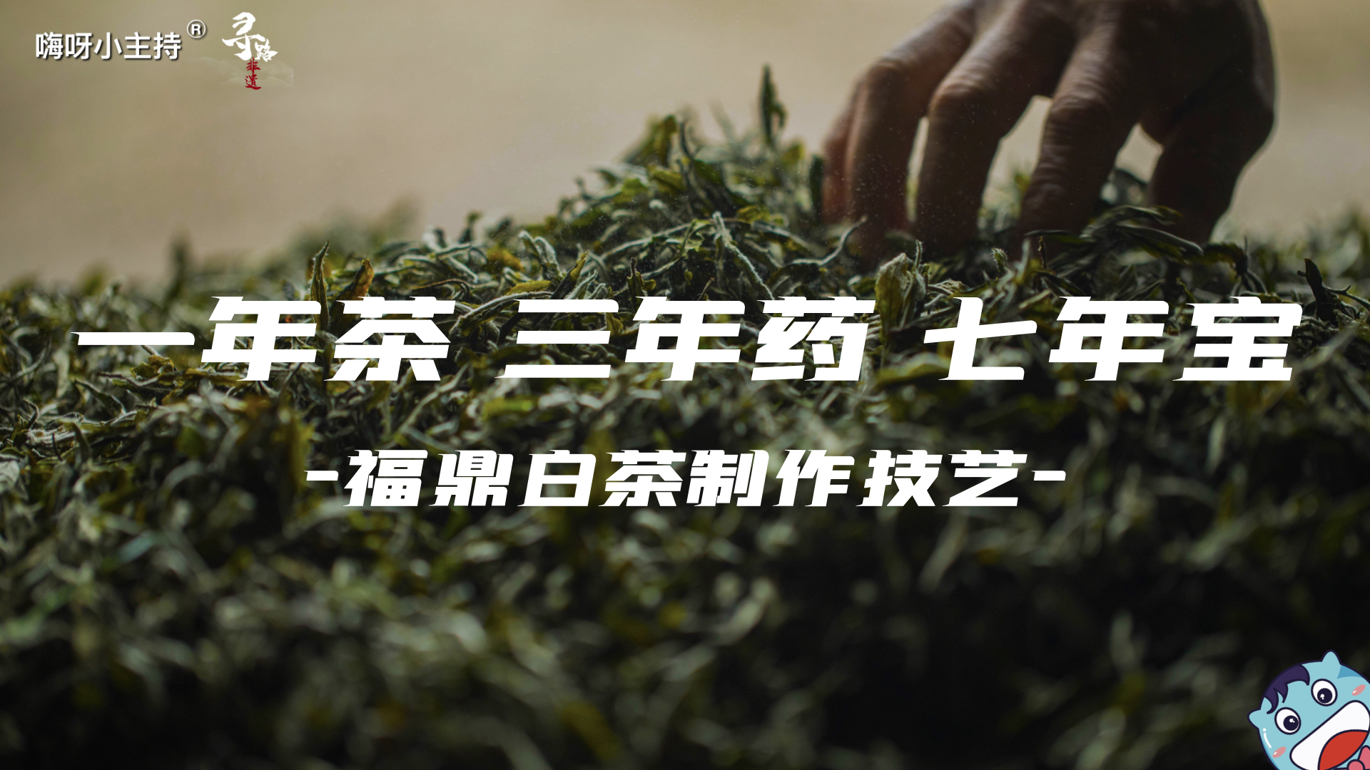 嗨呀小主持｜《寻路非遗》—一年茶，三年茶，七年宝｜中段