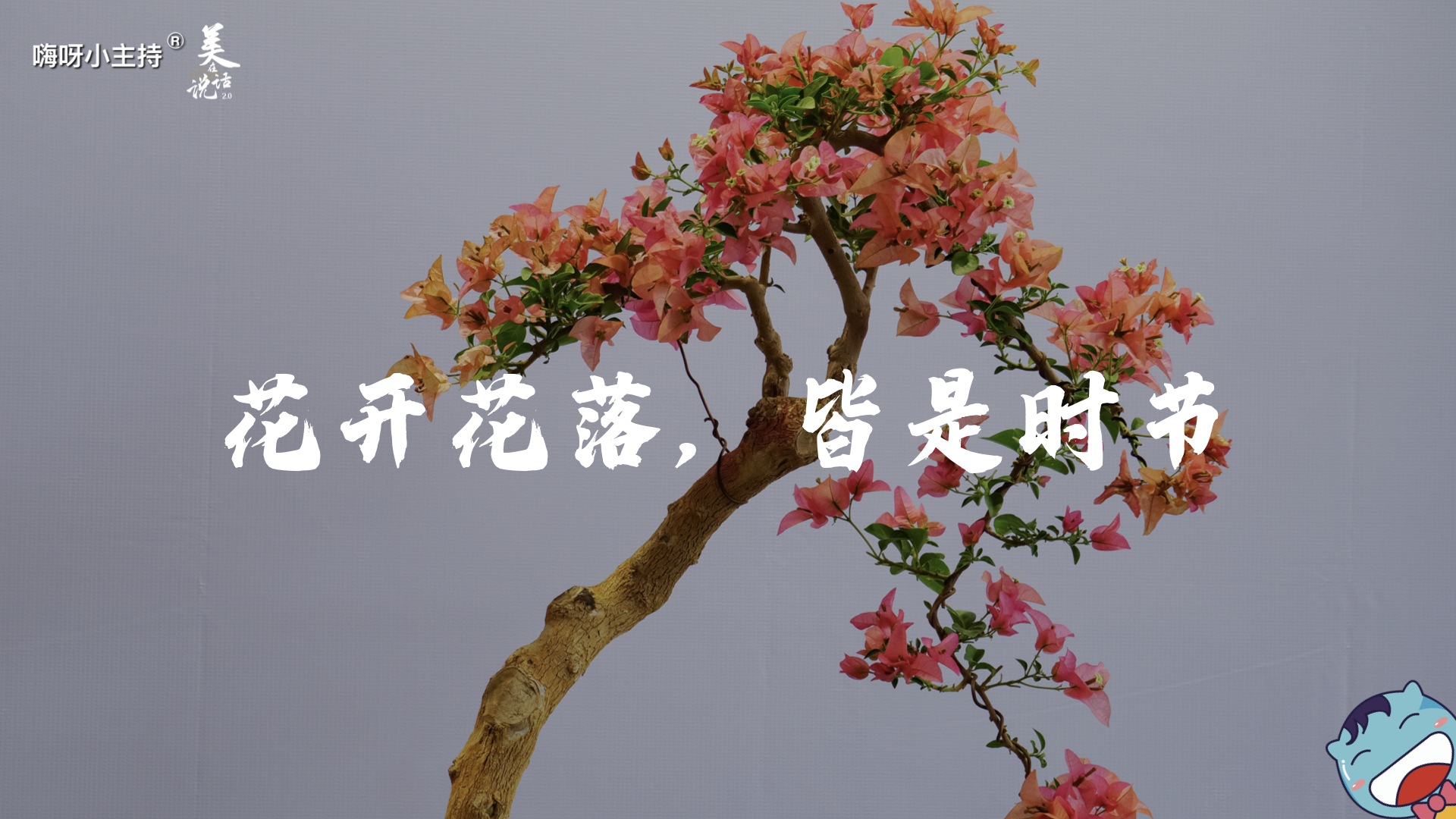 《美在说话番外篇》—信花篇｜高段