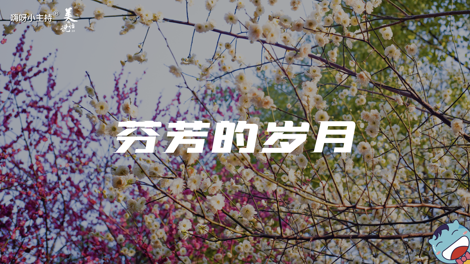 《美在说话番外篇》—信花篇｜中段