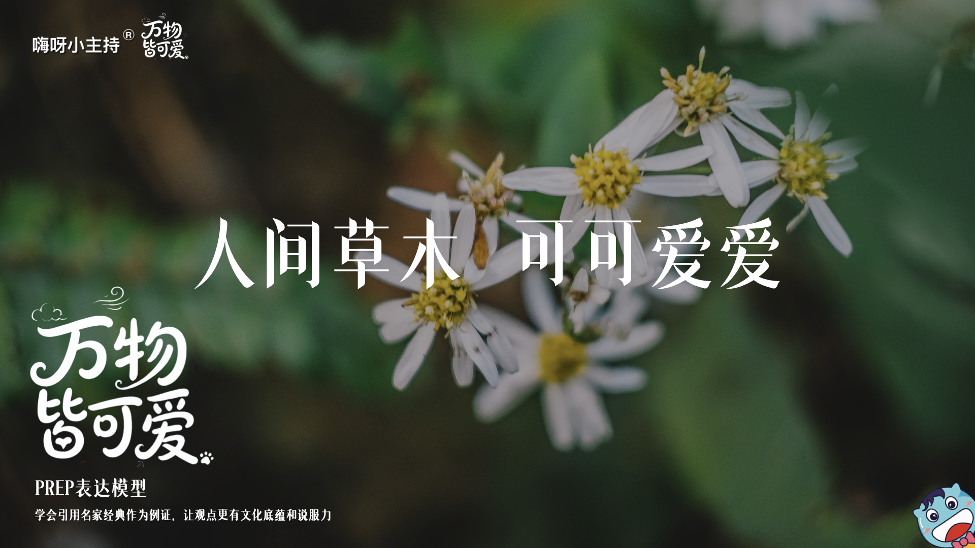 《万物皆可爱》—人间草木  可可爱爱｜高段